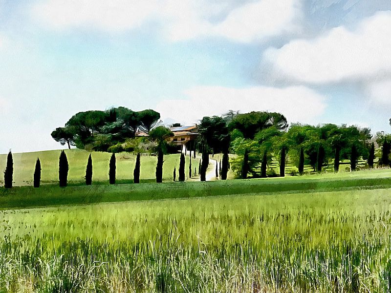 Cypresses Draw Your Eye by Dorothy Berry-Lound
