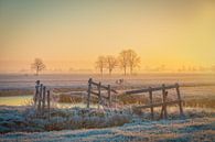 Niederländische Polderlandschaft bei Sonnenaufgang von Original Mostert Photography Miniaturansicht