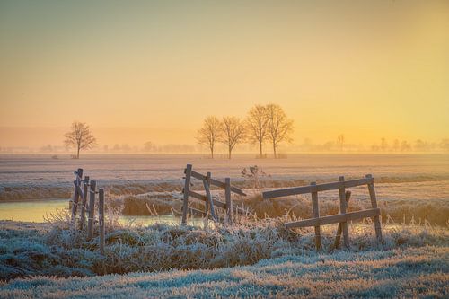 Dutch Polder landscape during the sunrise