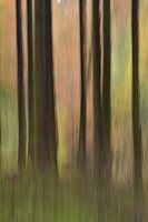 Tremotion, softness