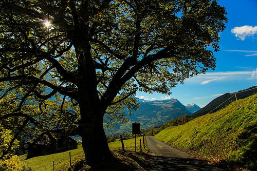 Hear the silence, see the light