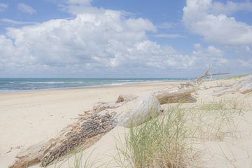 Zee en strand van Danny Vandebosch