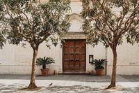 Pigeon to the Amalfi