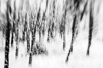 Scène d'hiver avec des arbres dans la neige en noir et blanc sur Imaginative