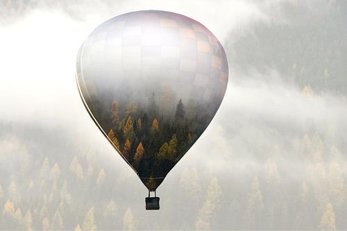 Verdwaal in de wereld van Eros Erika