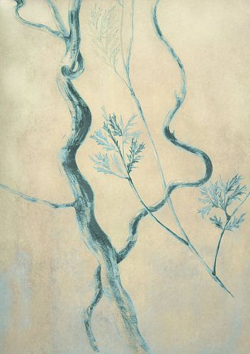 Kurkentrekker wilg in blauw