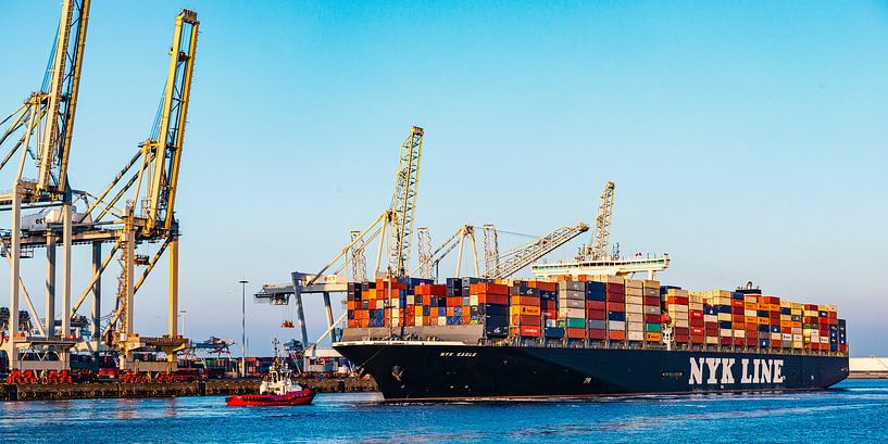 Cargo container ship at a container terminal in Rotterdam port by Sjoerd van der Wal Photography