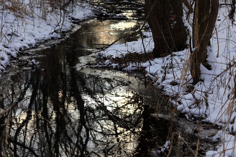 By the stream in winter by Thomas Jäger