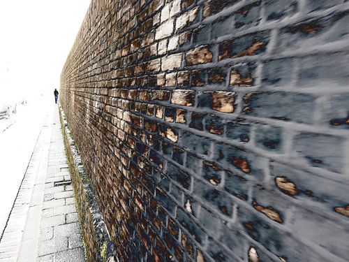 Beyond the wall by Ruud Otter