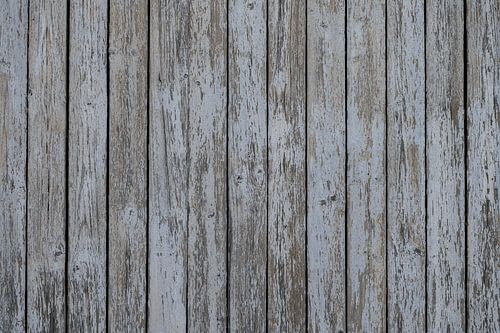 The weathered white painted shelves.