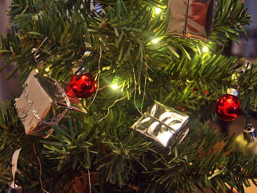 Fir tree