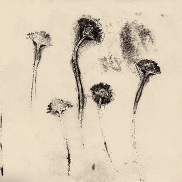 Vintage botanische prints. Vijf bloemen. van Dina Dankers