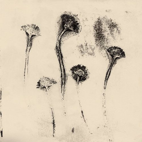 Vintage botanische prints. Vijf bloemen.