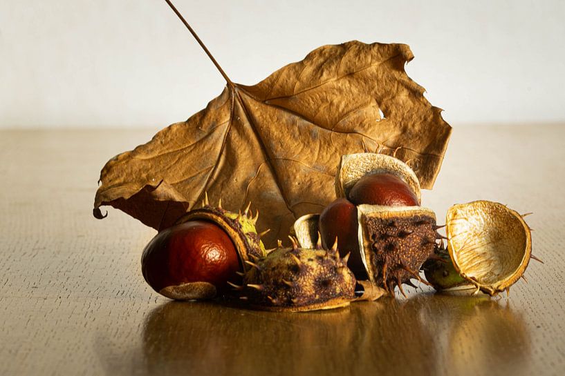 Stilleven van natuurproducten uit het bos in de herfst van Robin Verhoef