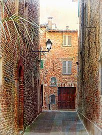Alley View 3 Citta dell Pieve by Dorothy Berry-Lound