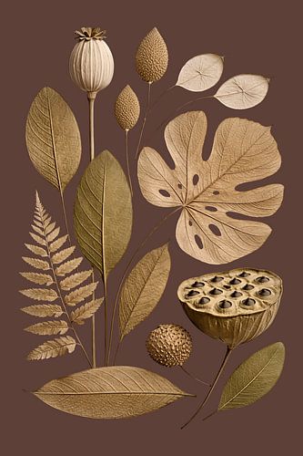 Herbier doré sur Max Steinwald