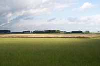 Lumière et ombre dans le polder