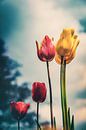 Stimmungsvolles, farbenfrohes Blumenmeer im Retro Look von Jakob Baranowski - Photography - Video - Photoshop Miniaturansicht