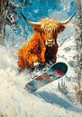 Scottish Highland cattle by Niklas Maximilian thumbnail