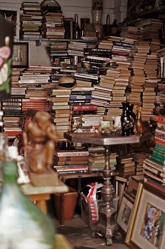 Small library in Pisa