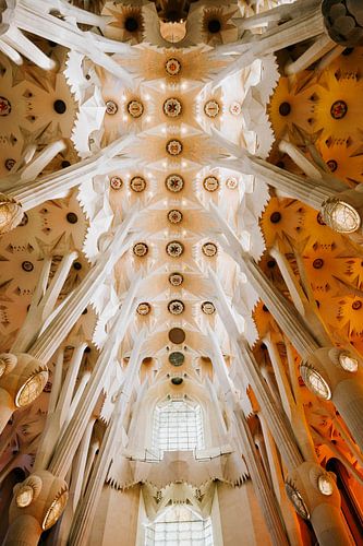 Plafond spécial dans la sagrada familia