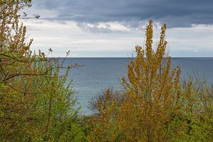 Landschaft an der Küste der Ostsee