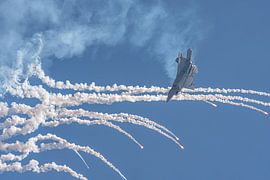 U.S. Air Force Lockheed Martin F-22 Raptor Demo Team. van Jaap van den Berg