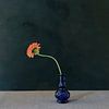 Back flower blue vase by Marion Kraus