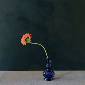 Rückseite Blume blaue Vase von Marion Kraus