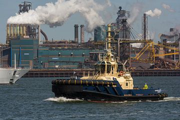 Schlepper bei der Arbeit im Hafen von IJmuiden. von scheepskijkerhavenfotografie