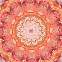 Mandala gouden aura