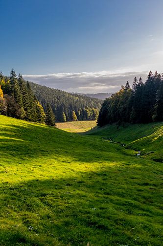 Herfstwandeling door het Thüringer Woud