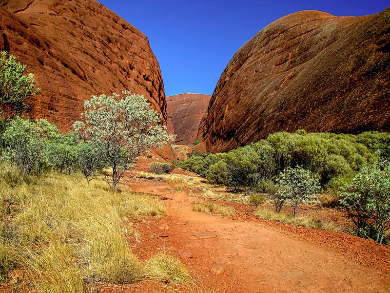 Valley of the Winds, im Outback von Australien. von Rietje Bulthuis