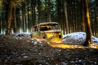 Gestrand in het bos