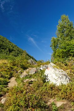 Wandelpad bij de Geirangerfjord van Anja B. Schäfer