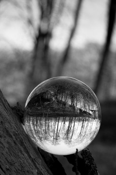 Door een glazen bal #5 van Robert Wiggers