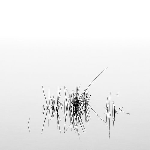 Stille