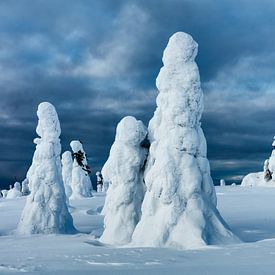 The magical frozen forest in Finland by Chris Stenger