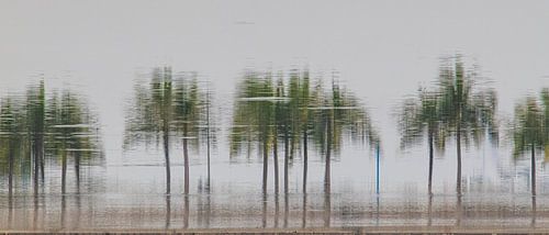 impression of a row of trees van Reinier de Rooie