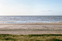 Coastline Zandvoort