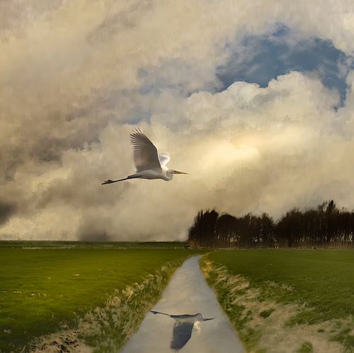 Opvliegende zilverreiger over reflecterende stroom van Gerard Wielenga