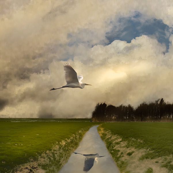 Soaring Egret Over Reflective Stream by Gerard Wielenga