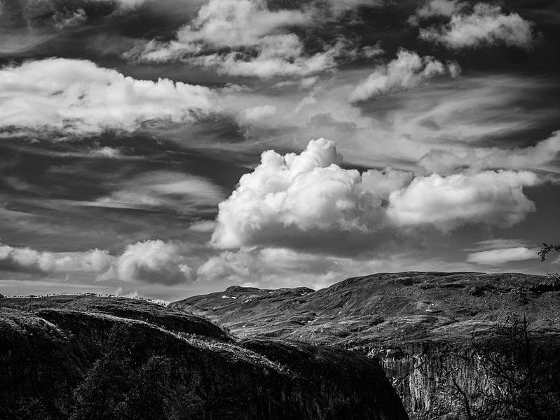 Hardangervidda von Michel Meijer