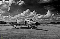 Wolfhounds by Marc Lourens thumbnail