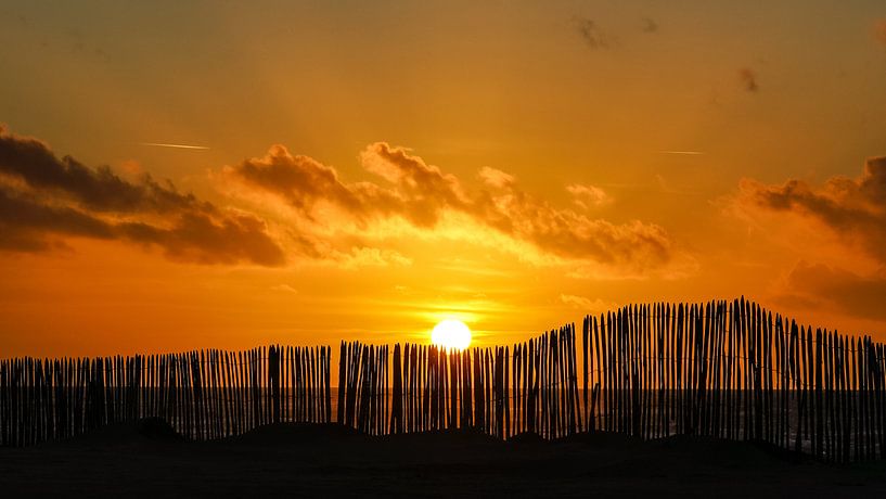 Strandleven! von Dirk van Egmond