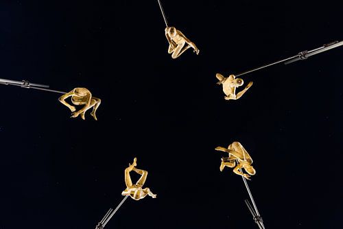 Alphen aan den Rijn - Conditio Sine Qua Non