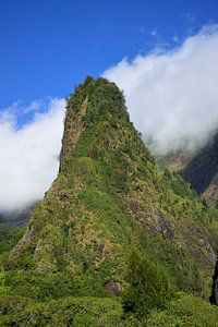 Die ʻĪao-Nadel