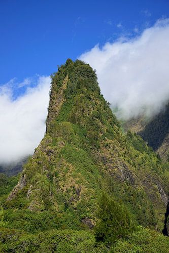 De ʻĪao naald