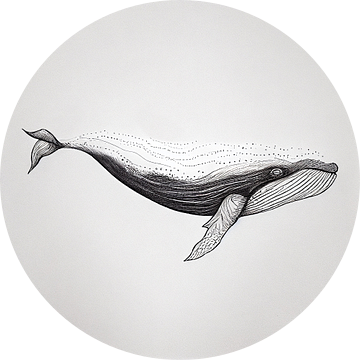 lonely whale van Liv Jongman