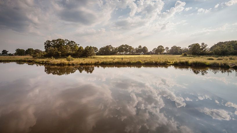 Dakhorst by Freddy Hoevers